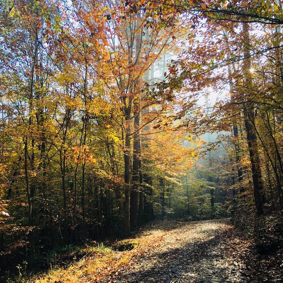 Meet your Posher, Dan - Picture 1 of 1